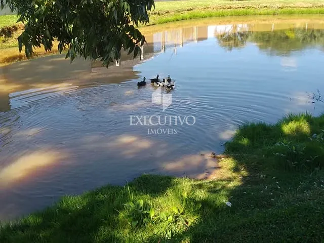 Chácara com 5758m² 4 quartos e 2 banheiros, à venda, no bairro Bairro Laranjeiras em Bom Retiro do Sul
