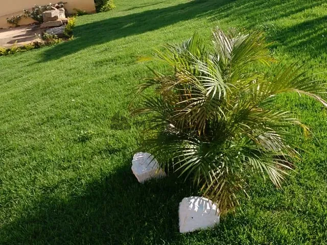 Chácara 4 quartos e 1 banheiro, à venda, no bairro Anhumas em Pedralva