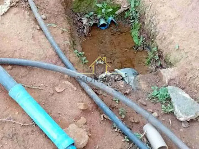 Chácara com 10000m² 2 quartos e 1 banheiro, à venda, no bairro Zona Rural  em Guaxupé