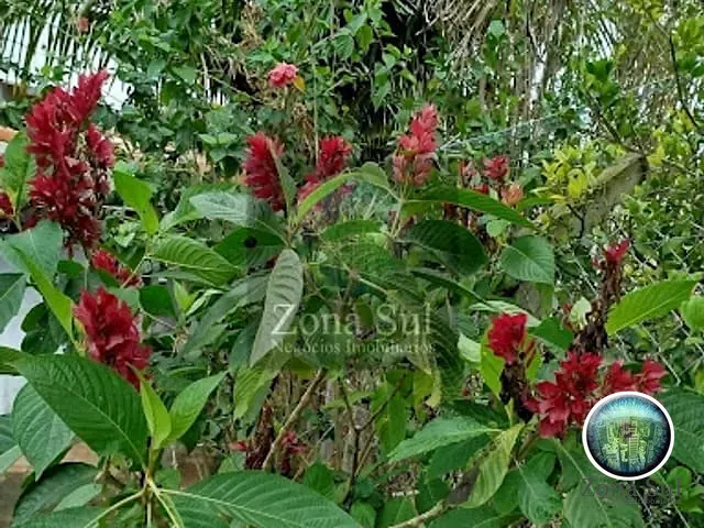 Chácara com 109m² 2 quartos e 2 banheiros, à venda, no bairro Bairro Funil em Piedade