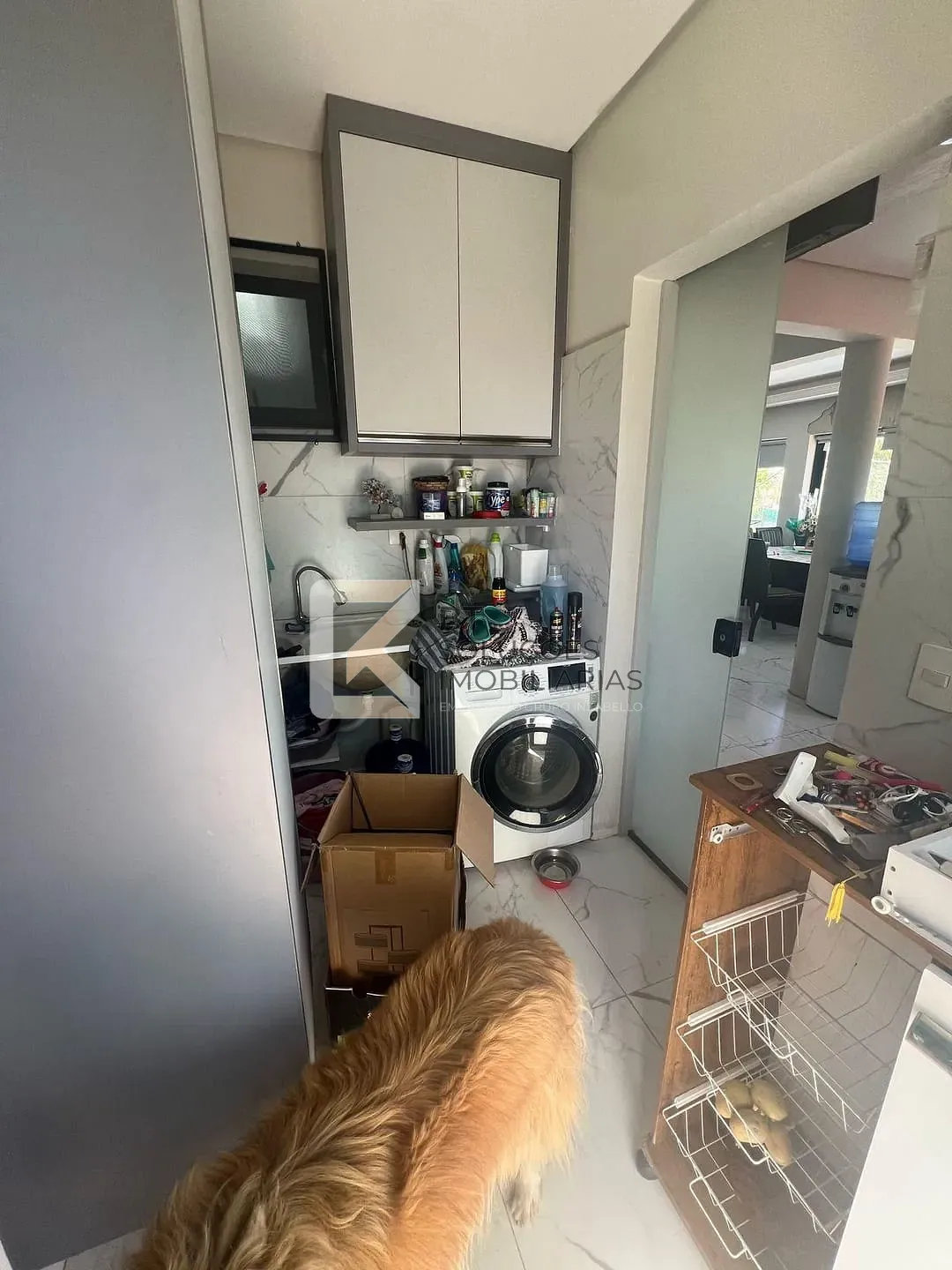 Chácara, 3 quartos, 3040 m² - Foto 9