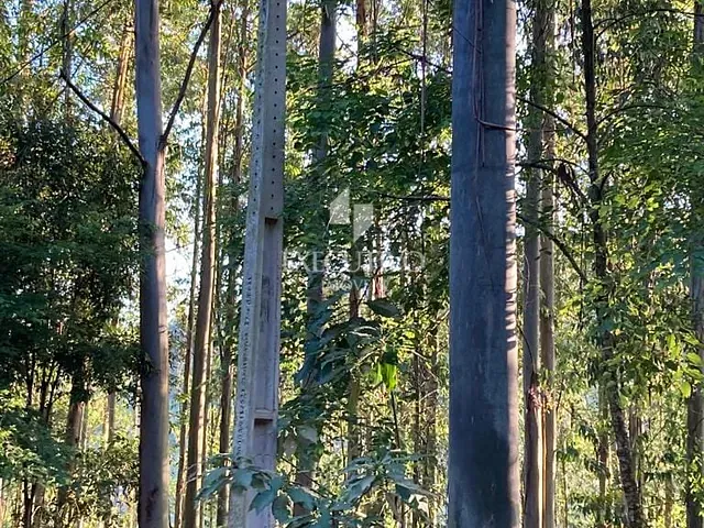 Chácara com 2996m², à venda, no bairro Arroio Grande em Arroio do Meio