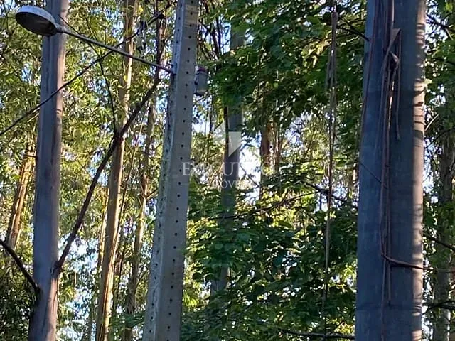 Chácara com 2996m², à venda, no bairro Arroio Grande em Arroio do Meio