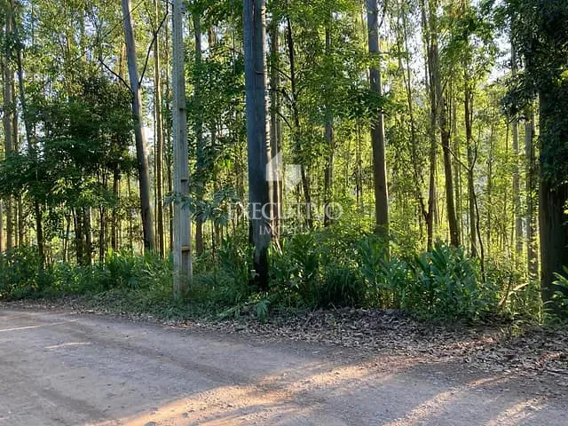 Chácara com 2996m², à venda, no bairro Arroio Grande em Arroio do Meio