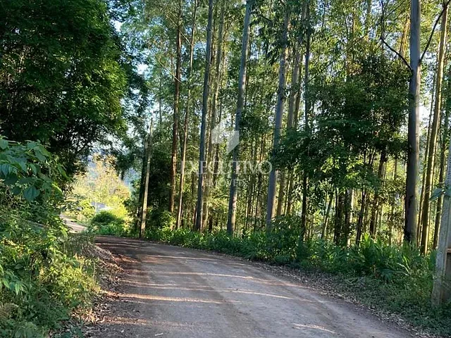 Chácara com 2996m², à venda, no bairro Arroio Grande em Arroio do Meio