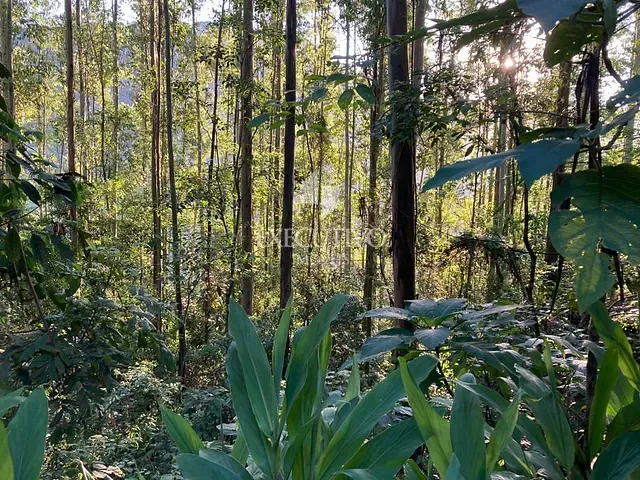 Chácara com 2996m², à venda, no bairro Arroio Grande em Arroio do Meio