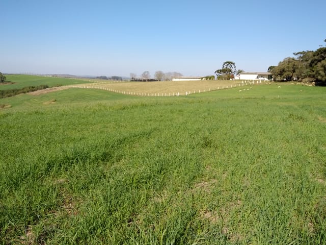Fazenda com 4331800m² 4 quartos e 5 banheiros, à venda, no bairro Zona Rural em Lapa