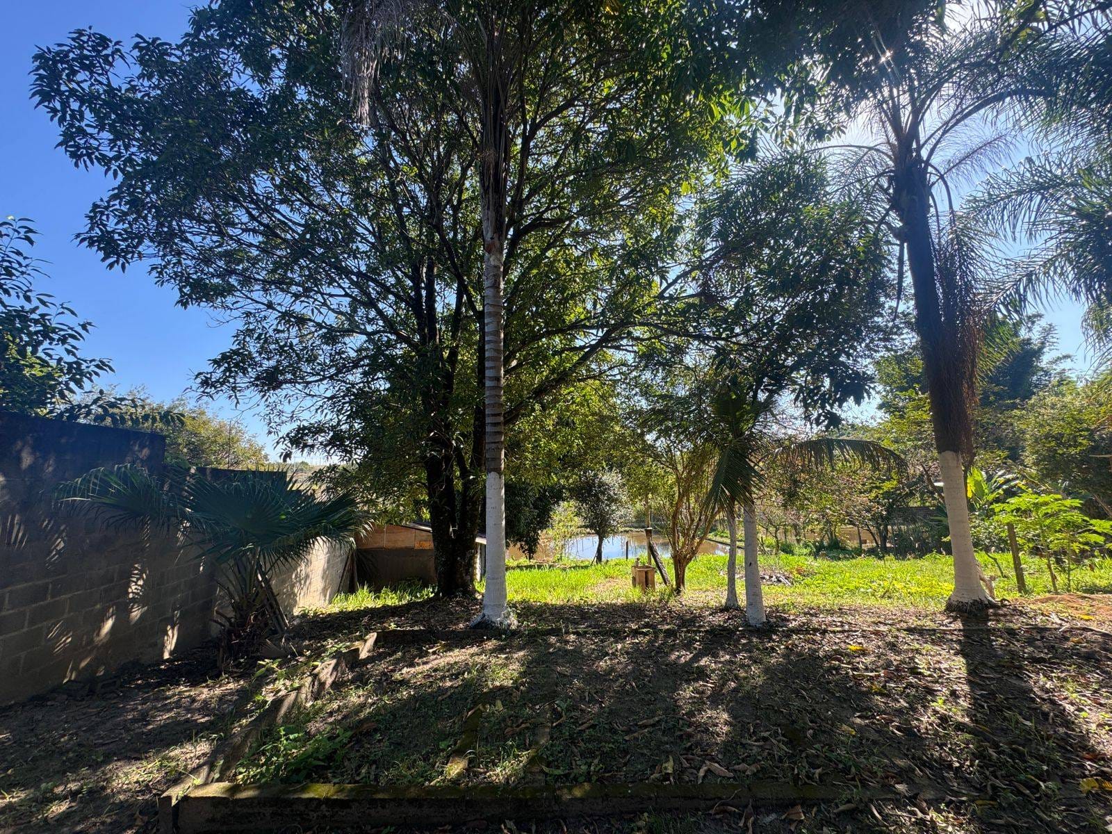 Chácara, 2 quartos, 10 m² - Foto 5