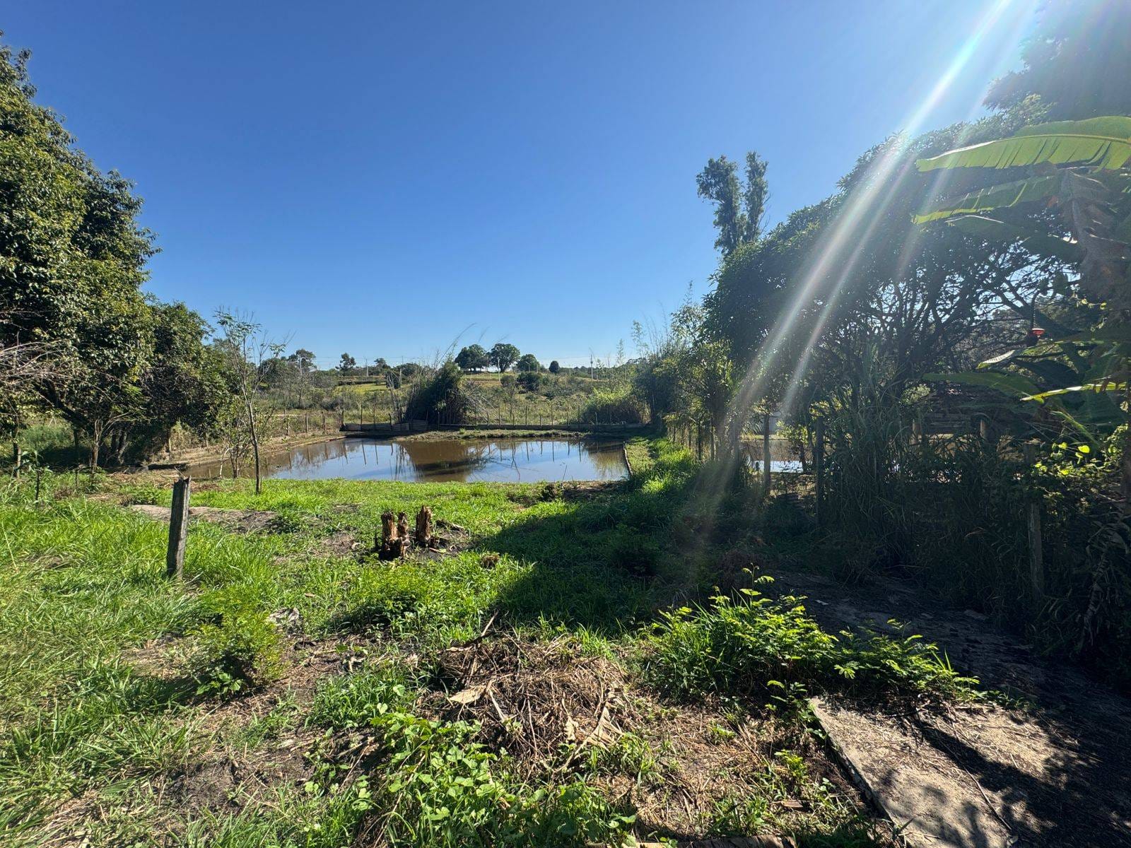 Chácara, 2 quartos, 10 m² - Foto 30