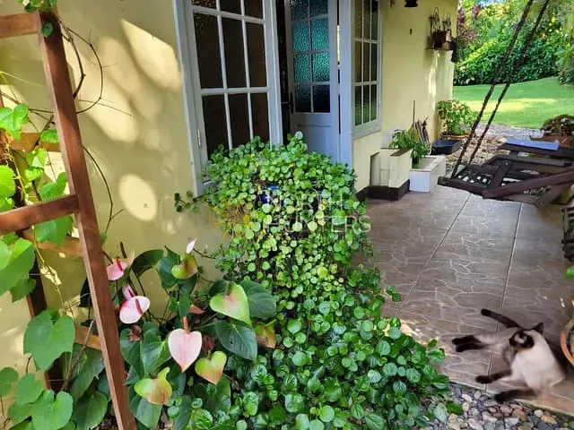 Chácara com 20000m² 4 quartos e 2 banheiros, à venda, no bairro Pirabeiraba (Pirabeiraba) em Joinville