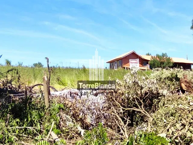 Chácara com 500m², à venda, no bairro Periquitos em Bocaina (Ponta Grossa)