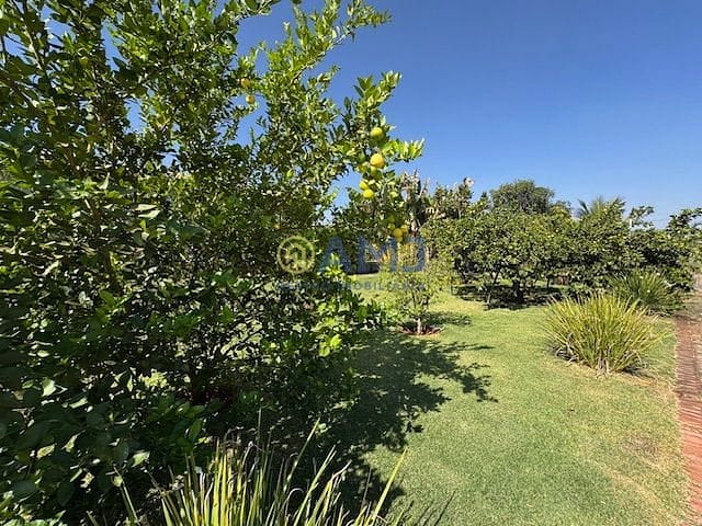 Sítio, 4 quartos, 2205 m² - Foto 55