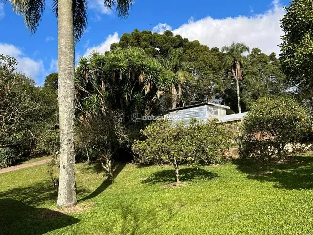 Chácara com 3600m² 3 quartos e 2 banheiros, à venda, no bairro Ana Rech em Caxias do Sul