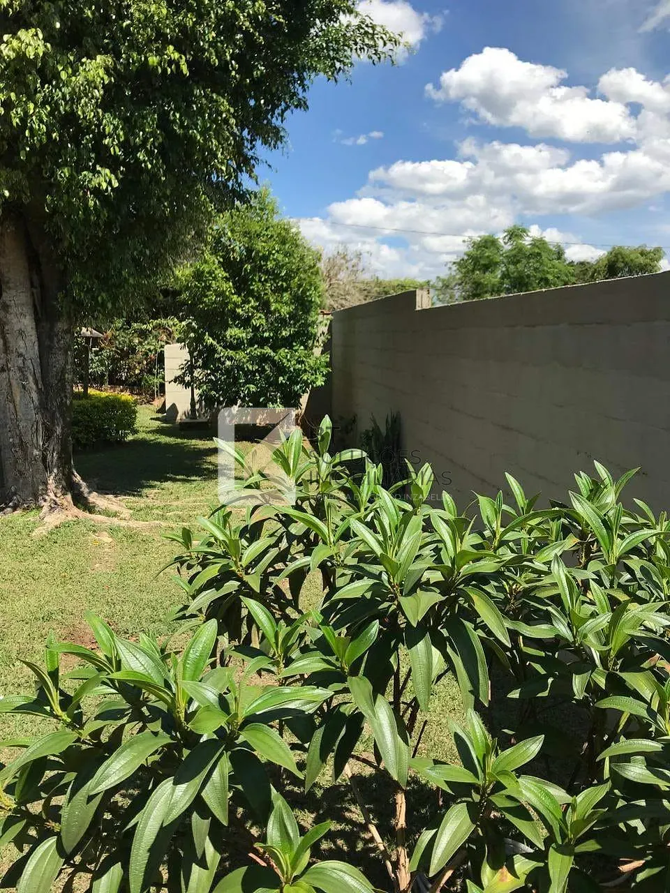 Chácara, 3 quartos, 1010 m² - Foto 12