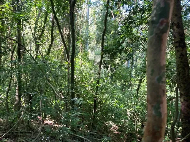 Chácara com 159579m², à venda, no bairro Arroio Grande em Arroio do Meio