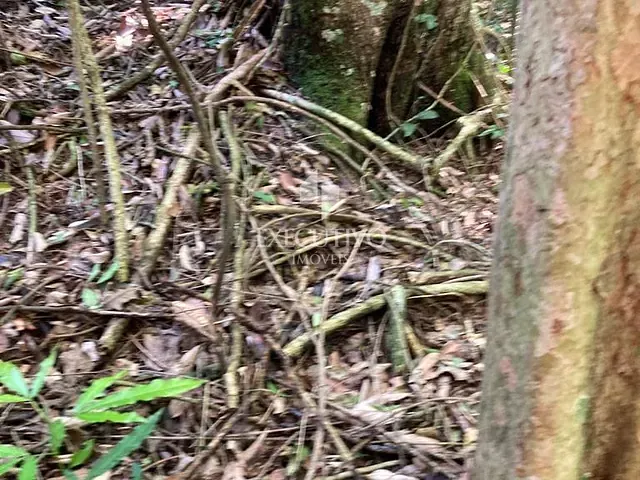 Chácara com 159579m², à venda, no bairro Arroio Grande em Arroio do Meio