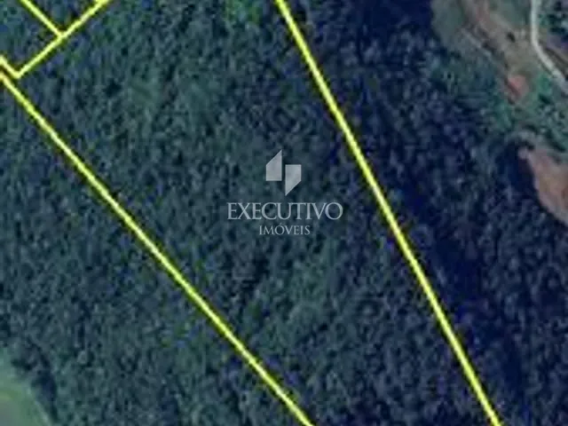 Chácara com 159579m², à venda, no bairro Arroio Grande em Arroio do Meio