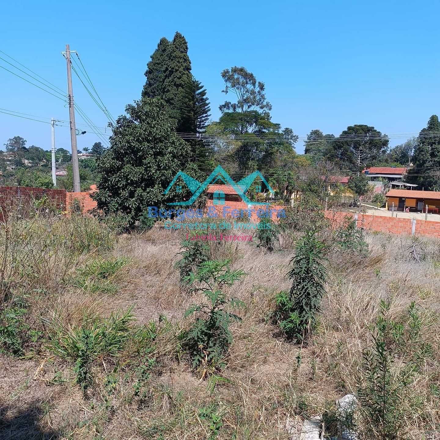 Chácara, 3 quartos, 2000 m² - Foto 25