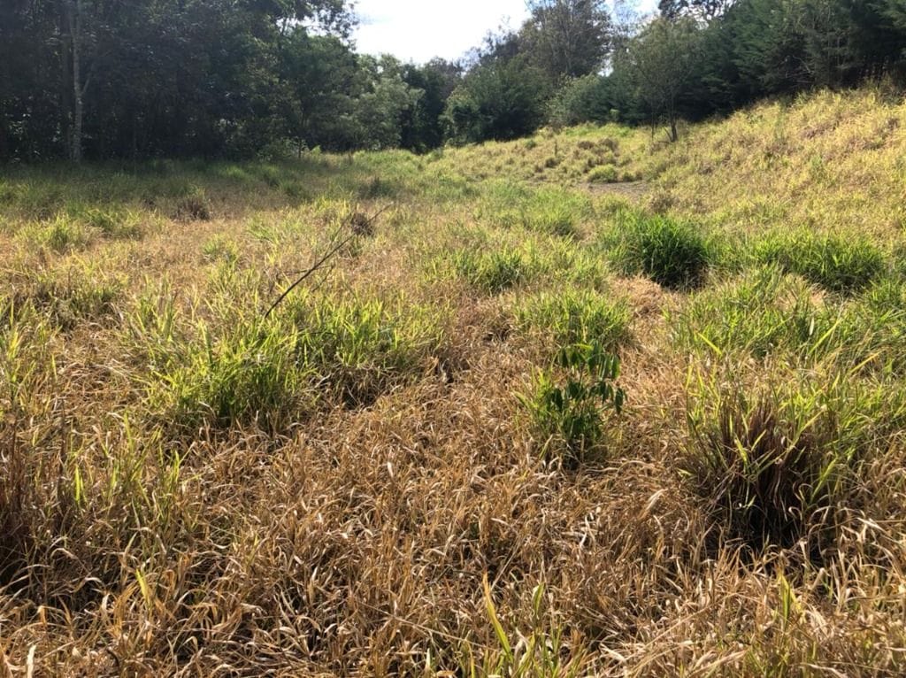 Chácara no Usina Sao Bernardo, Piranguçu