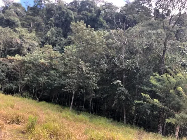 Chácara com 20000m², à venda, no bairro Usina São Bernardo em Piranguçu