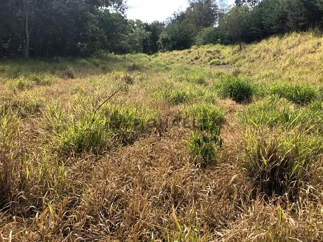 Chácara com 20000m², à venda, no bairro Usina São Bernardo em Piranguçu