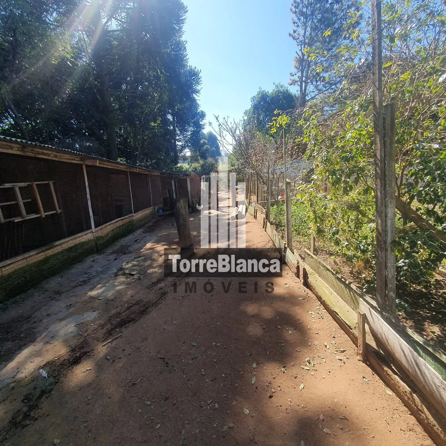 Chácara, 3 quartos, 3000 m² - Foto 21