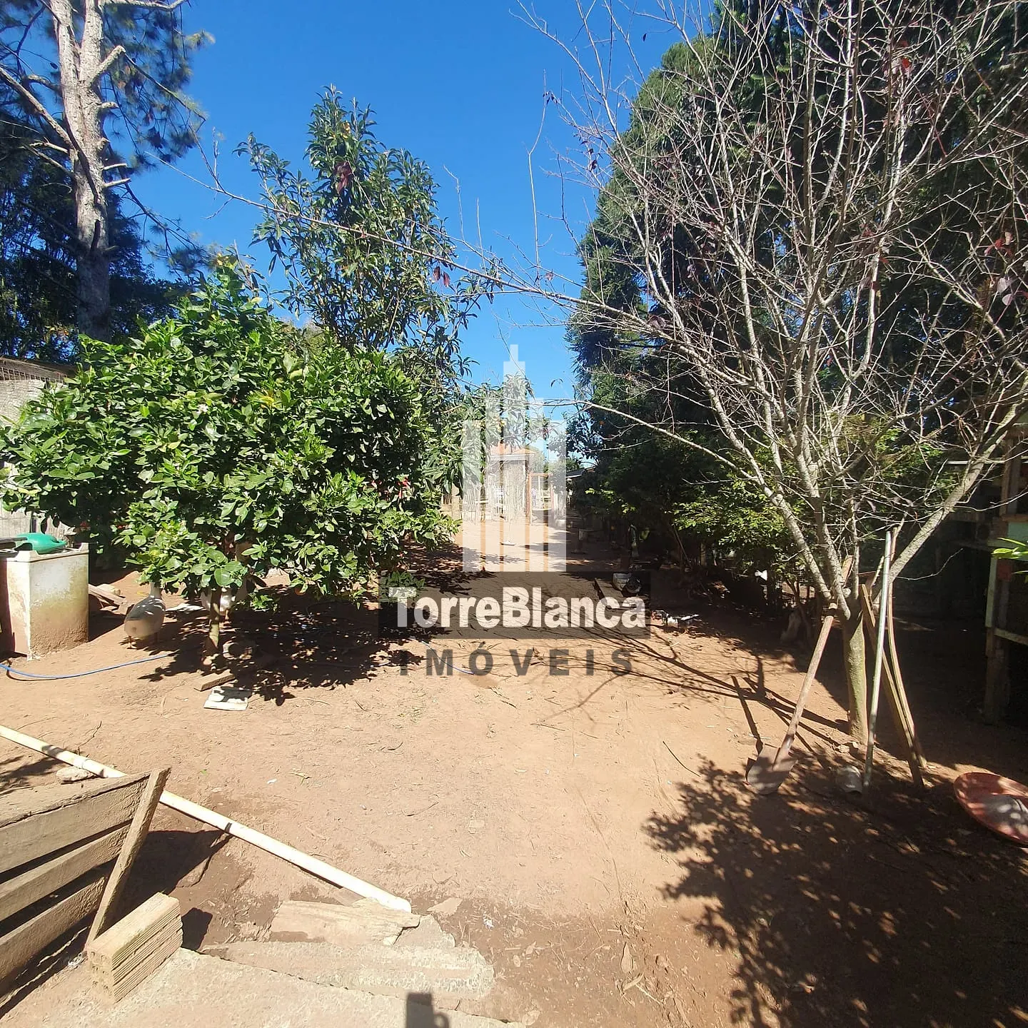 Chácara, 3 quartos, 3000 m² - Foto 17