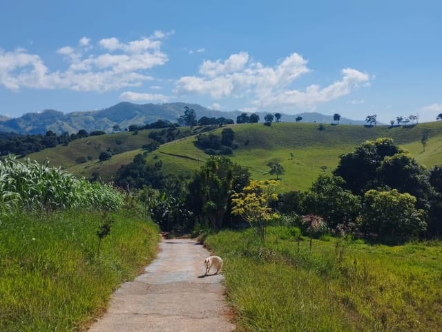 Chácara com 24000m² 2 quartos e 1 banheiro, à venda, no bairro Água Comprida em Água Comprida