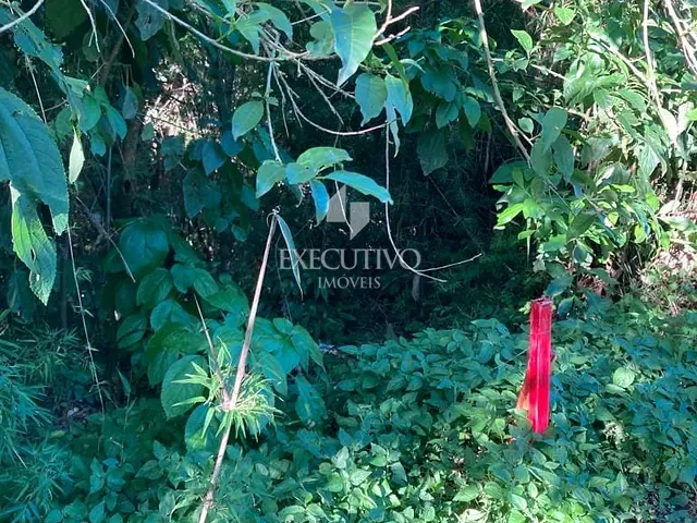 Chácara com 70014m², à venda, no bairro Bairro Arroio Grande em Arroio do Meio