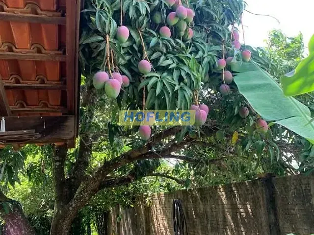 Chácara com 1057m² 3 quartos e 3 banheiros, à venda, no bairro Centro em Ipeúna