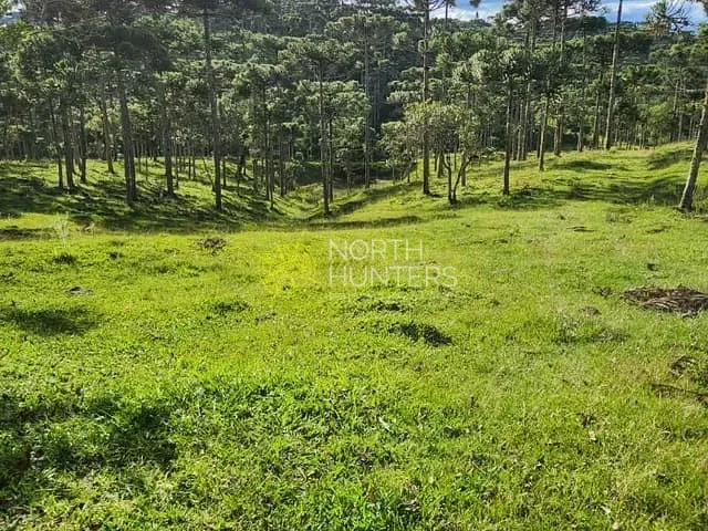 Chácara com 240m² 3 quartos e 2 banheiros, à venda, no bairro Centro em Campo Alegre