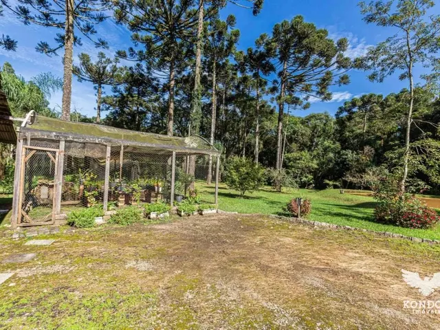 Sítio com 9800m² 3 quartos e 2 banheiros, à venda, no bairro Campina de Santa Rita em Campo Magro