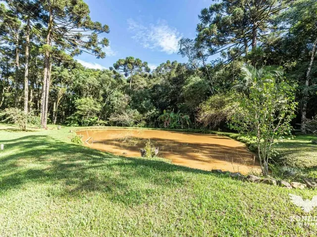 Sítio com 9800m² 3 quartos e 2 banheiros, à venda, no bairro Campina de Santa Rita em Campo Magro