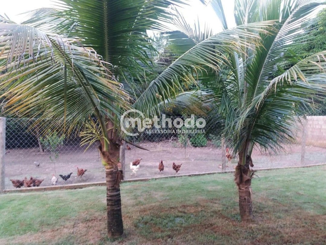 Chácara, 3 quartos, 2600 m² - Foto 15