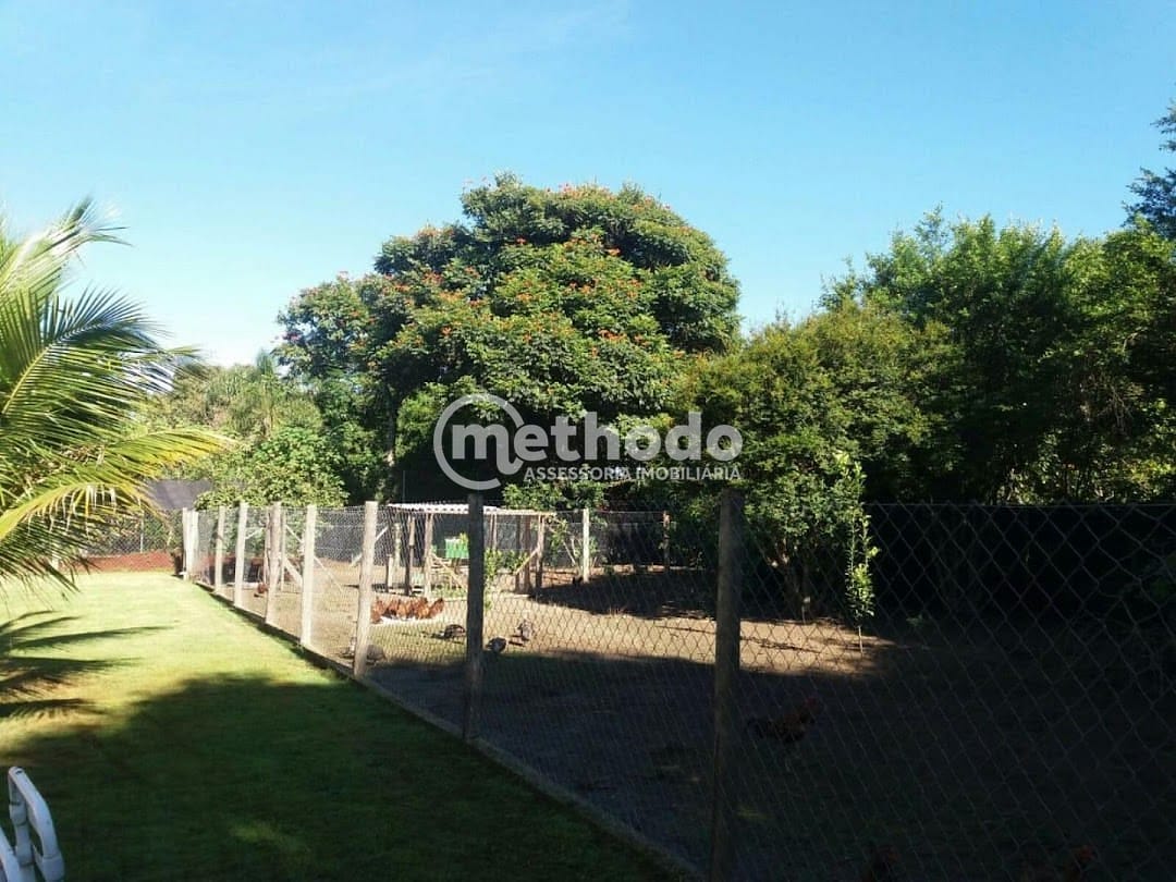 Chácara, 3 quartos, 2600 m² - Foto 5