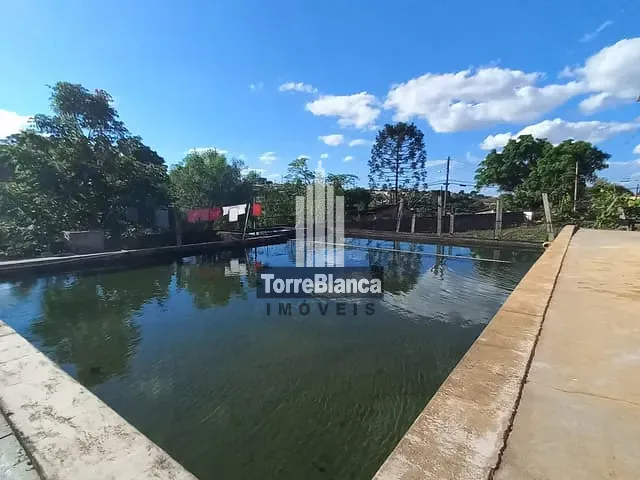 Chácara com 2489m² 2 quartos e 1 banheiro, à venda, no bairro Chapada em Ponta Grossa
