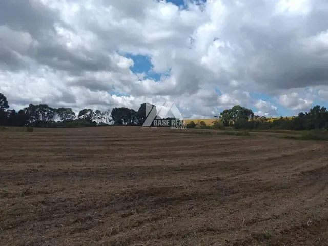 Chácara com 168000m², à venda, no bairro PR 466 Km 20 sentindo pitanga em Guarapuava