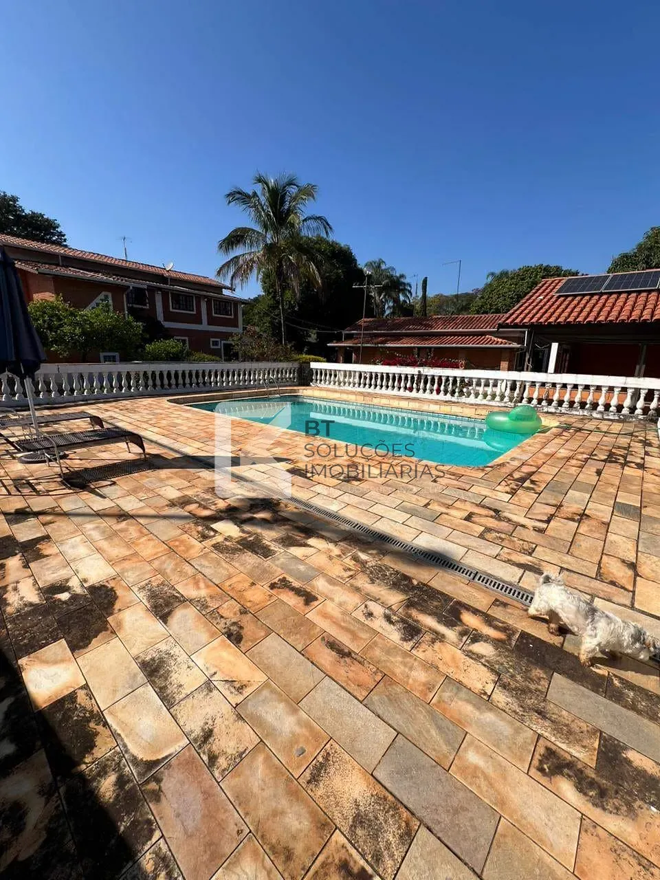 Chácara, 6 quartos, 3000 m² - Foto 49