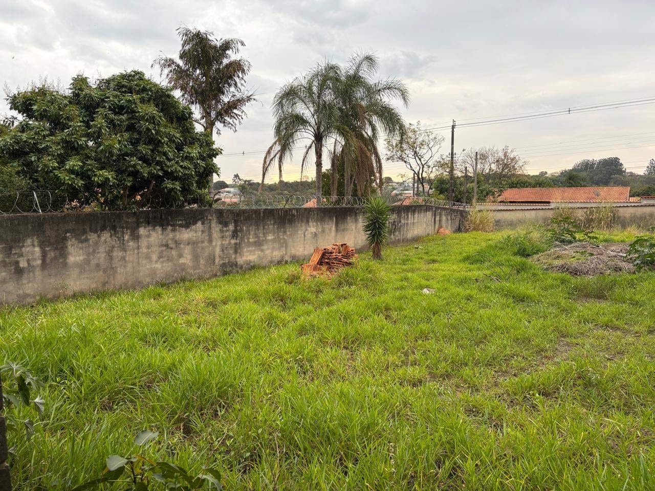 Chácara à venda com 2 quartos, 1000m² - Foto 4