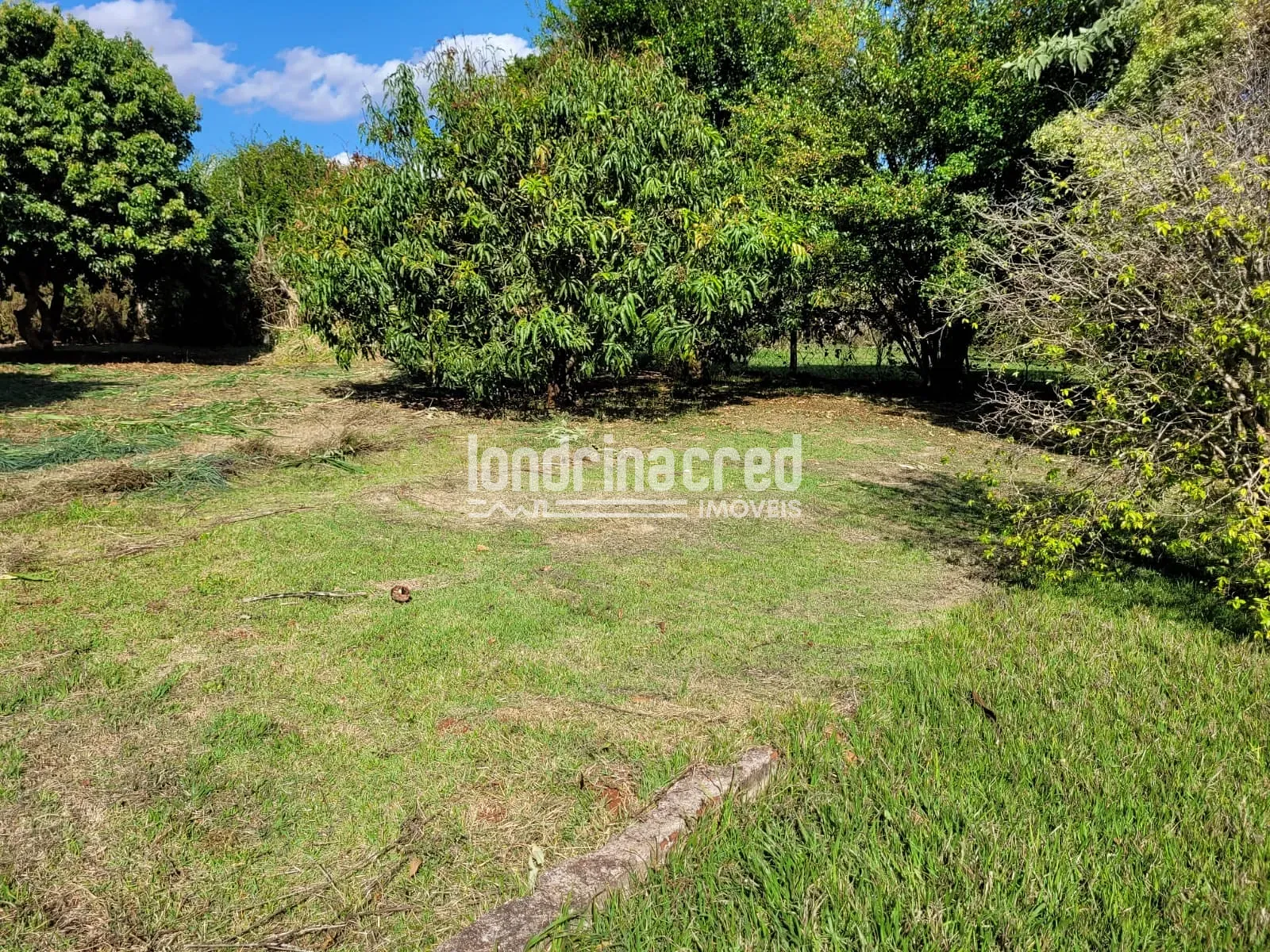 Sítio, 1 quarto, 4000 m² - Foto 22