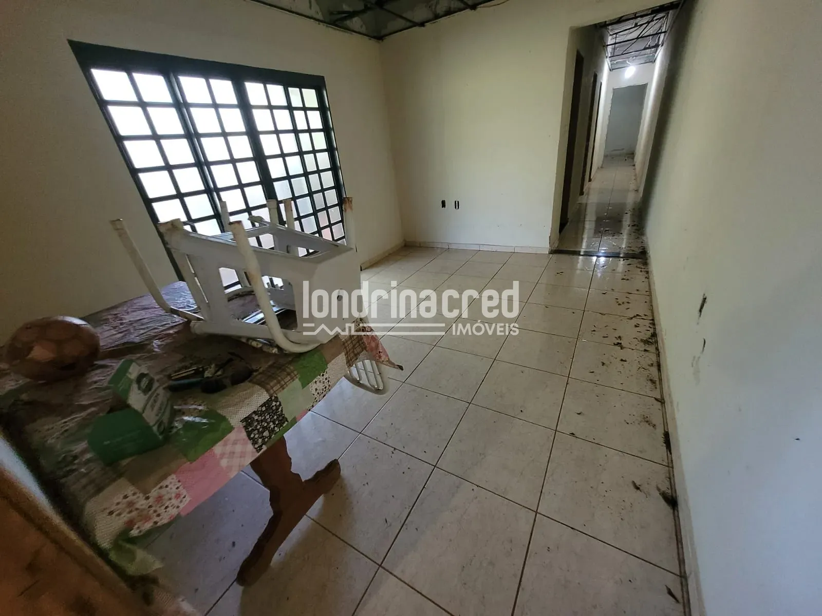 Sítio, 1 quarto, 4000 m² - Foto 16