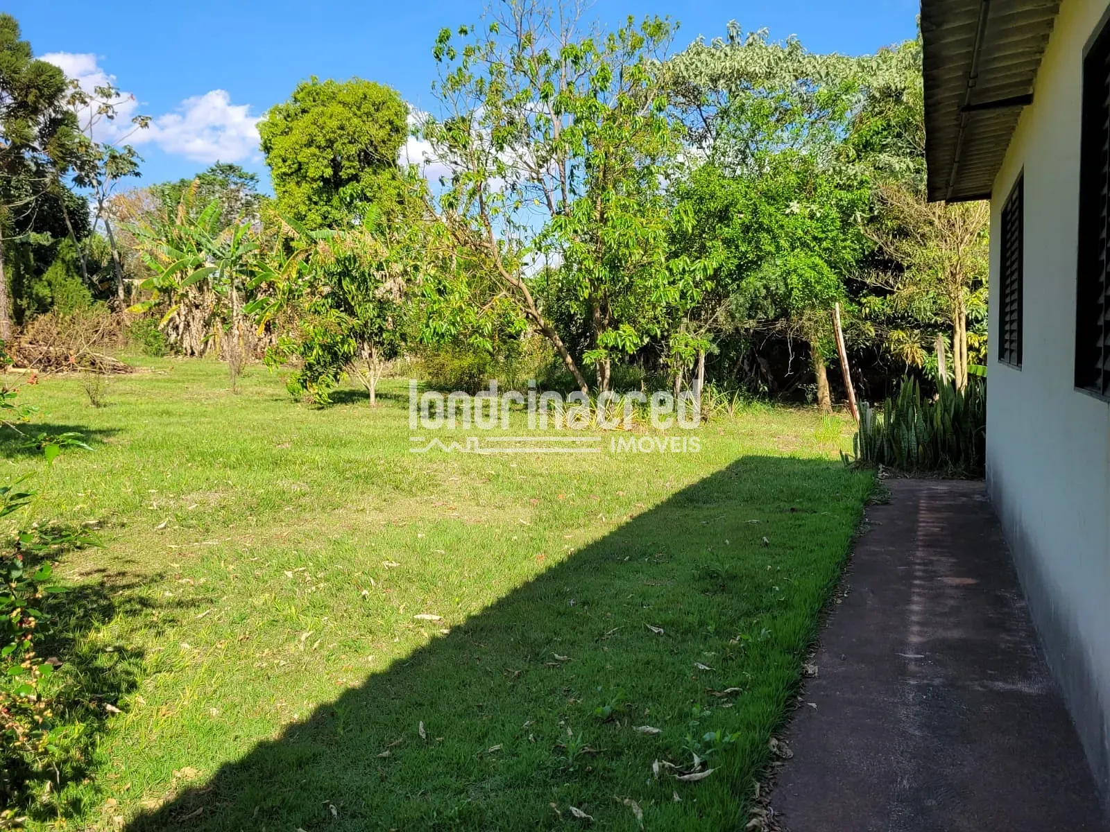 Sítio, 1 quarto, 4000 m² - Foto 23