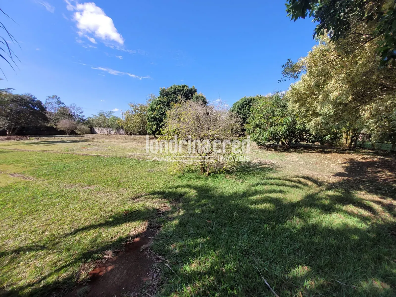 Sítio, 1 quarto, 4000 m² - Foto 6