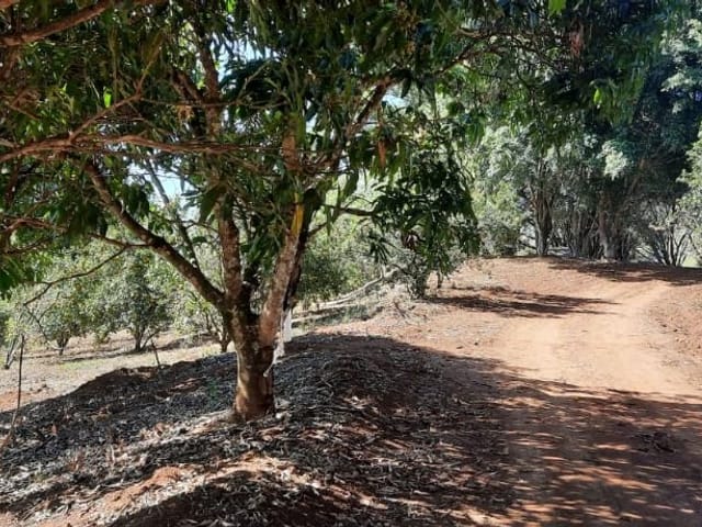 Foto do Chácara - Chácara à venda 48400M², Boa Vista, Piranguçu - MG | MOHALLEM e LOPES CORRETAGEM E ADMINISTRACAO DE IMOVEIS LTDA
