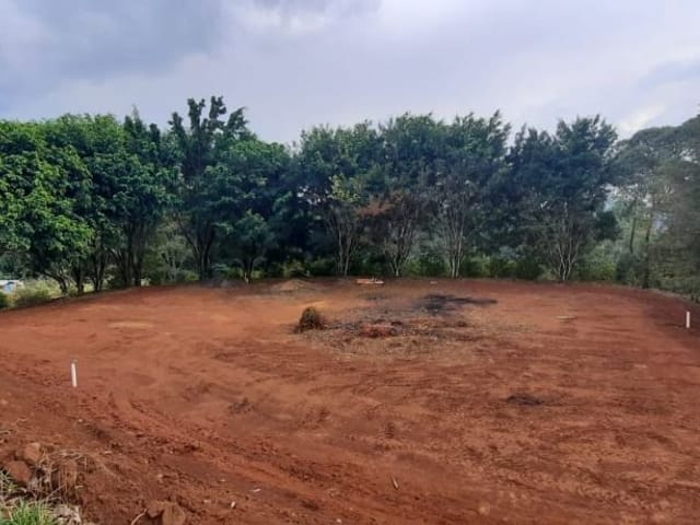 Foto do Chácara - Chácara à venda 48400M², Boa Vista, Piranguçu - MG | MOHALLEM e LOPES CORRETAGEM E ADMINISTRACAO DE IMOVEIS LTDA