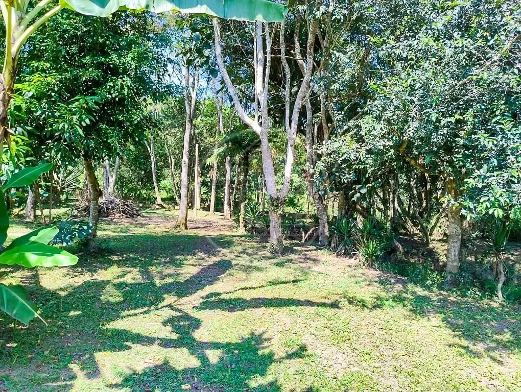 Sítio, 2 quartos, 2000 m² - Foto 41