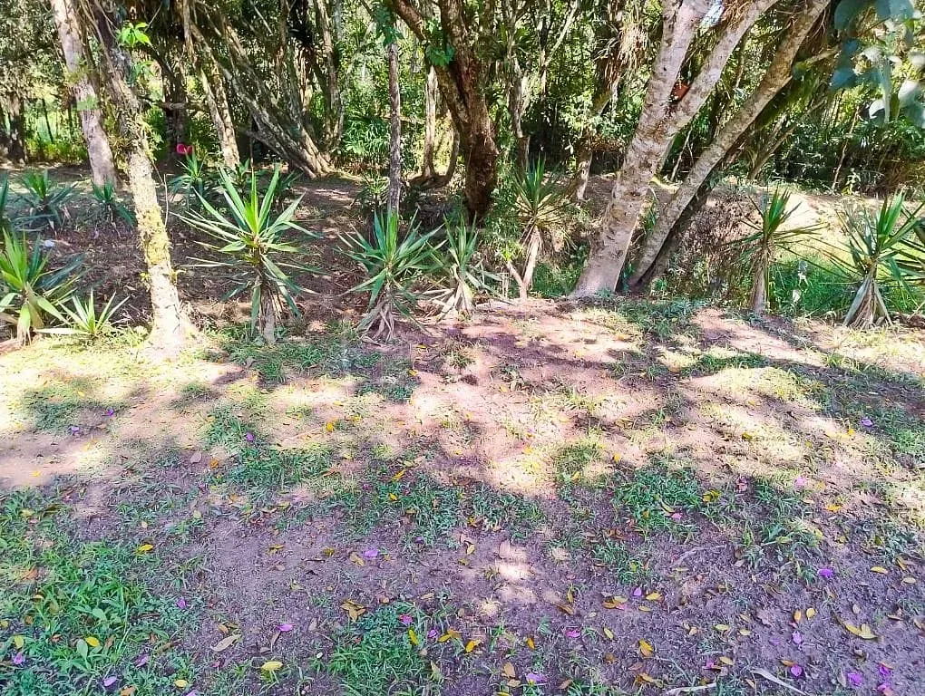 Sítio, 2 quartos, 2000 m² - Foto 40