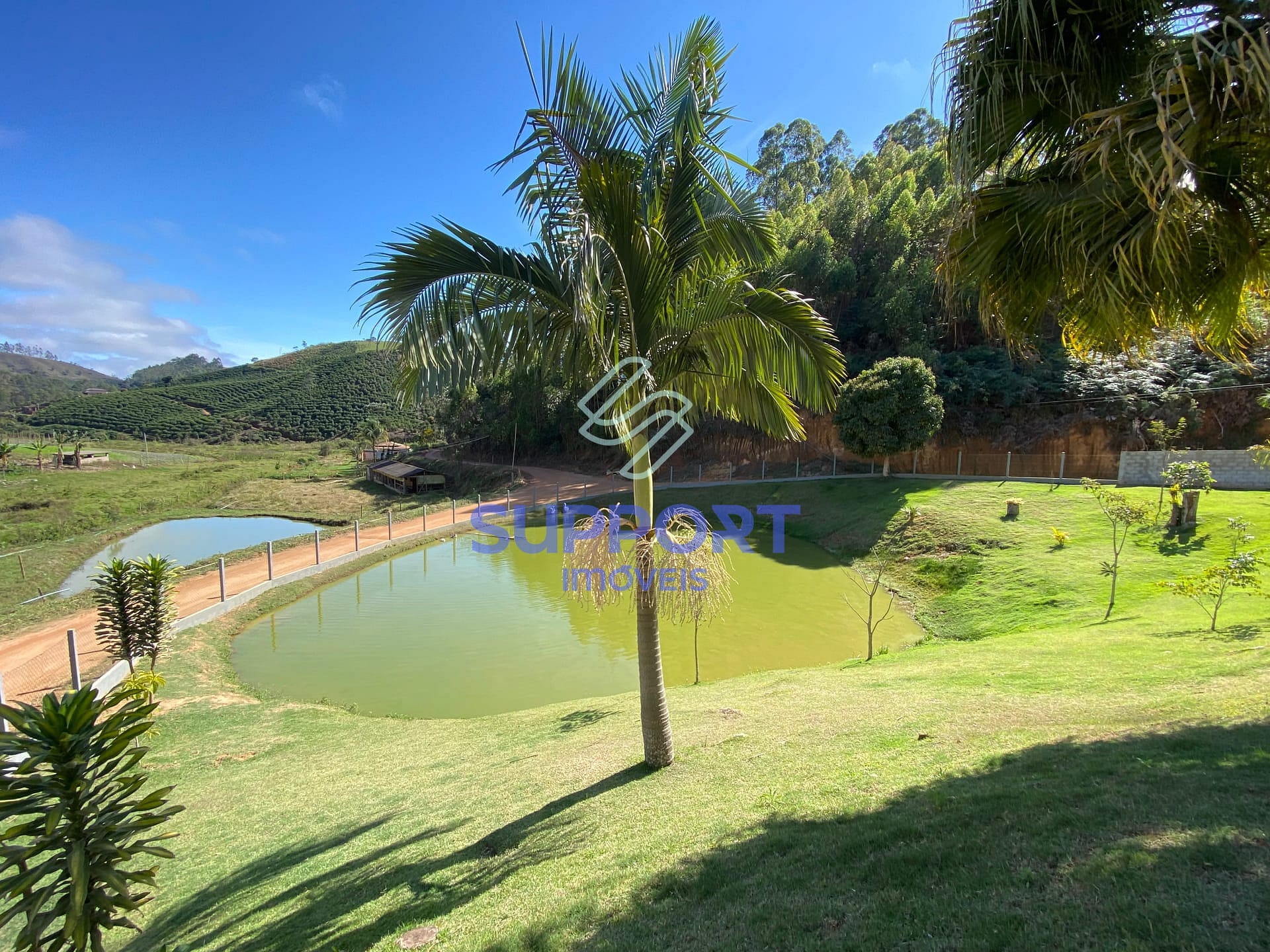 Chácara, 3 quartos, 2 hectares - Foto 23