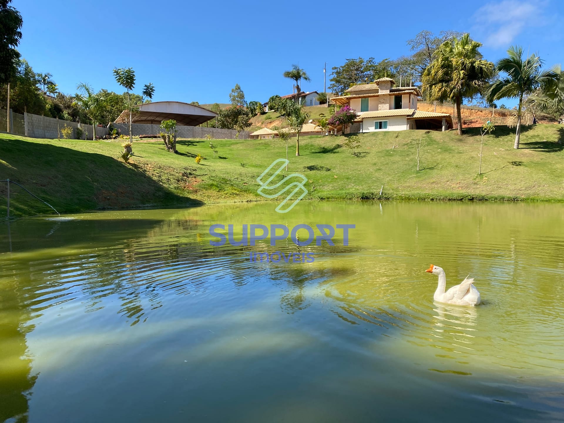 Chácara, 3 quartos, 2 hectares - Foto 73