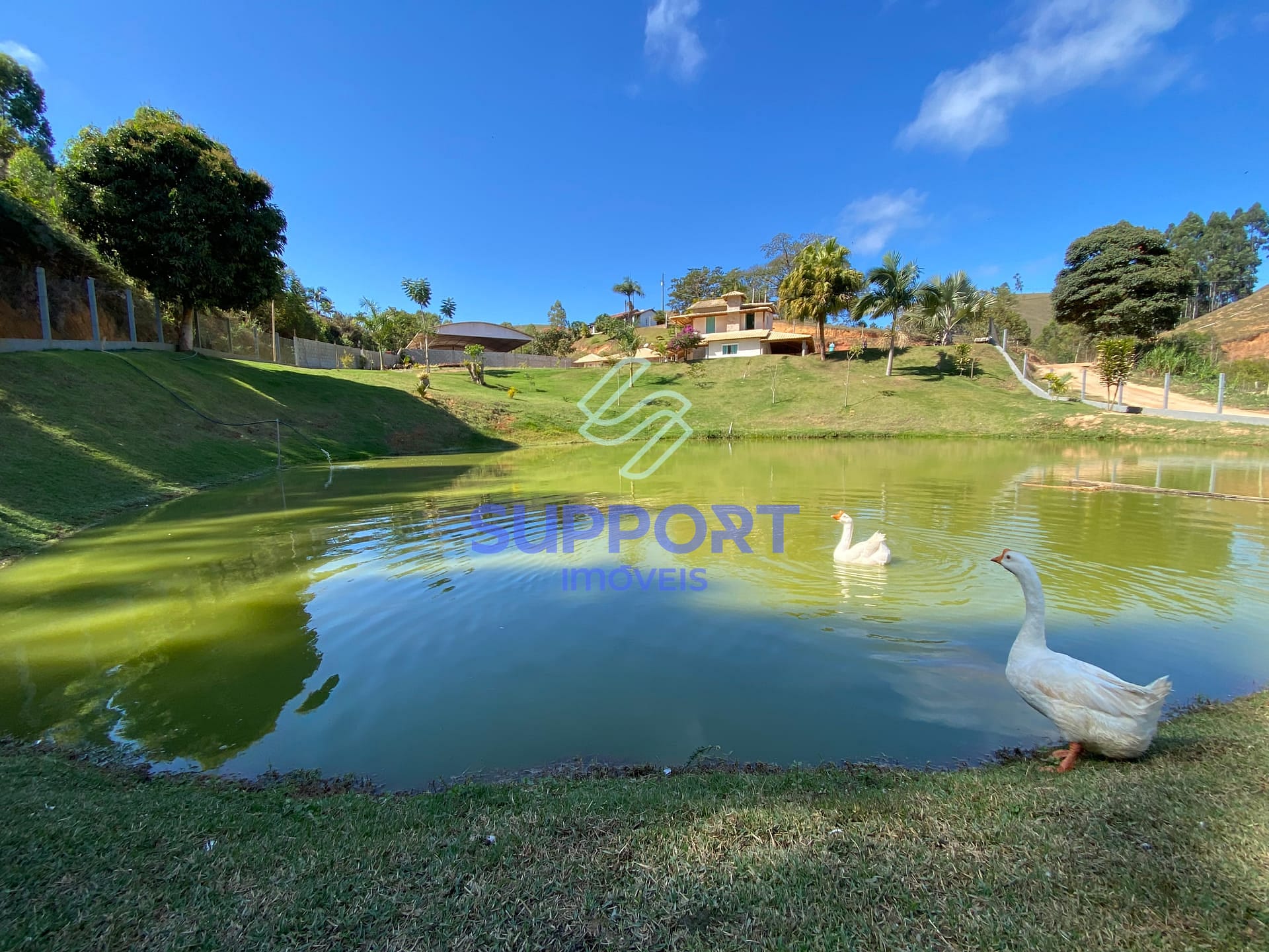 Chácara, 3 quartos, 2 hectares - Foto 74